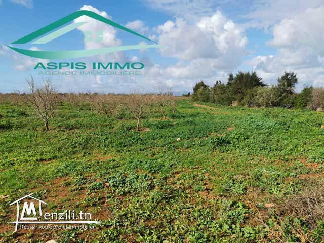 VT141:Ferme 10 hectares sur la route principale à Libna