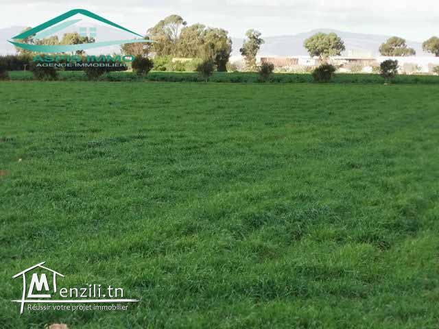 VT141:Ferme 10 hectares sur la route principale à Libna