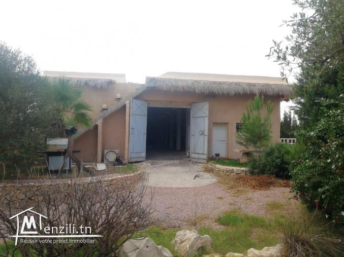 une magnifique ferme et  maison  de compagne