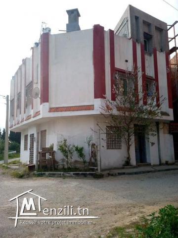 maison a vendre a menzel bouzelfa nabeul
