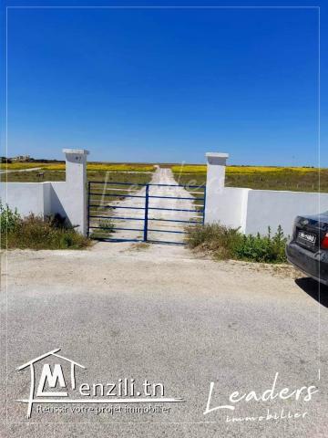 Vente beau terrain/ ????☎27246327