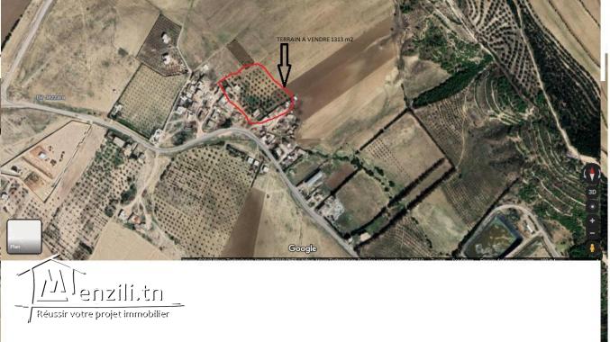 Deux terrains de 877 m2 et 436 m2