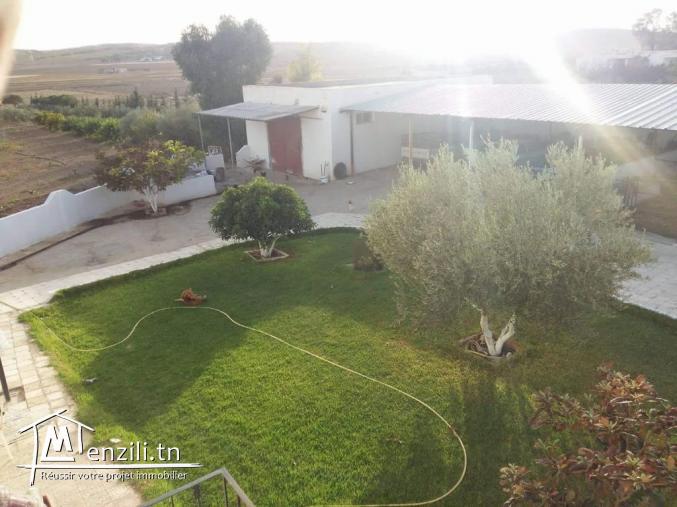 فرصة ذهبية للبيع