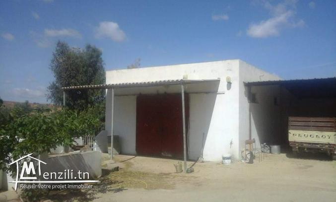 فرصة ذهبية للبيع