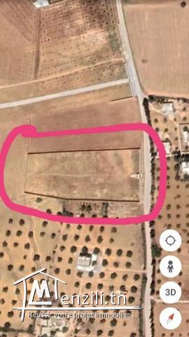 Luxueux Terrain à Hammamet