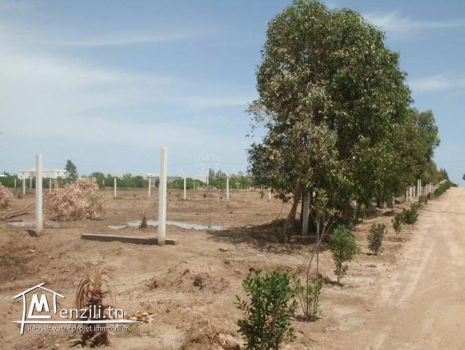 VENTE TERRAIN HERGLA  (RÉF. 6079951)