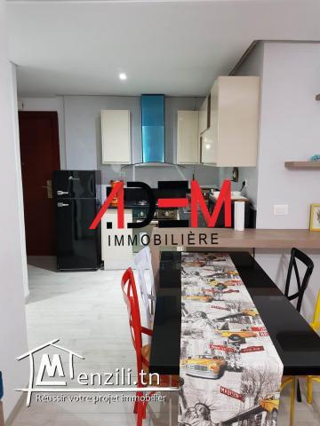 Appartement S2 richement meublé