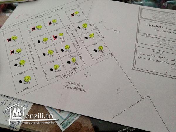 a vendre des lots de terrain a la plage dar alouche 