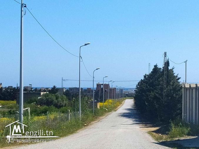 a vendre des lots de terrain a la plage dar alouche 