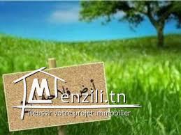 TERRAIN 4214m2 à #KALAA KIBIRA #HANIA SUR LA ROUTE PRINCIPALE