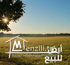 TERRAIN agricole 24 0000 m2 à #KALAA KBIRA  #RMILA vue mer