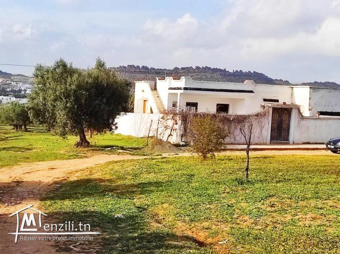 Terrain a vendre    Réf : THS048