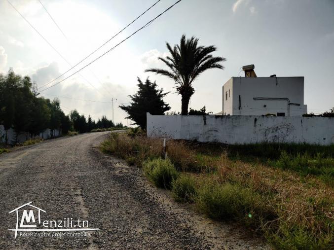 أرض للبيع في قليبية طريق تامزراط مساحتها 7000 متر مربع