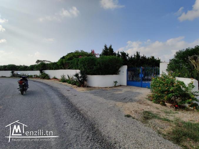 أرض للبيع في قليبية طريق تامزراط مساحتها 7000 متر مربع