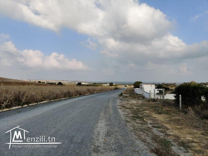 أرض للبيع في قليبية طريق تامزراط مساحتها 7000 متر مربع