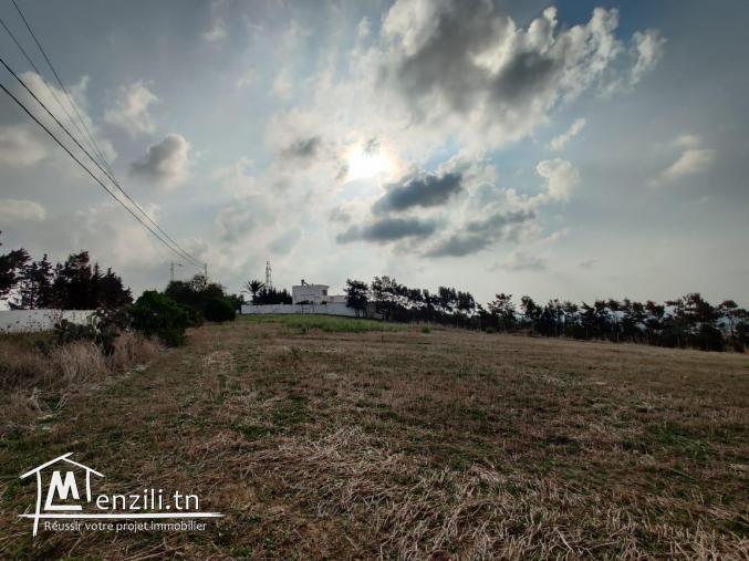 أرض للبيع في قليبية طريق تامزراط مساحتها 7000 متر مربع