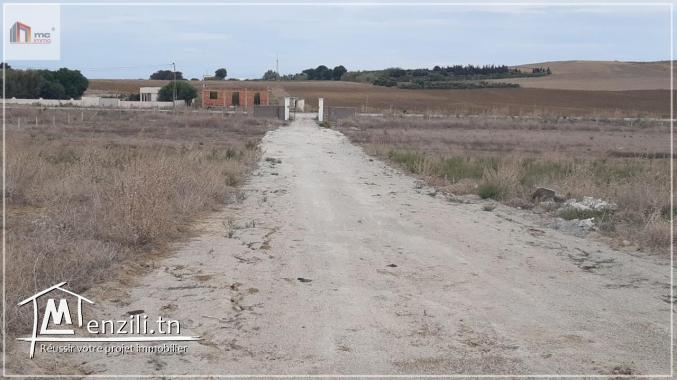 قطع أرض مقسمة قريبة  5 دق على  بحر حمام الغزاز 29.036.366