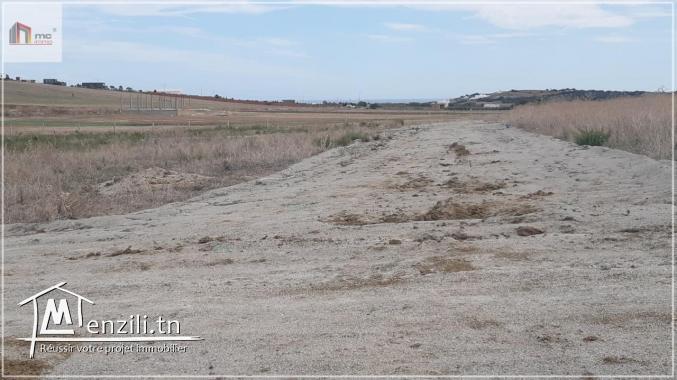 قطع أرض مقسمة قريبة  5 دق على  بحر حمام الغزاز 29.036.366