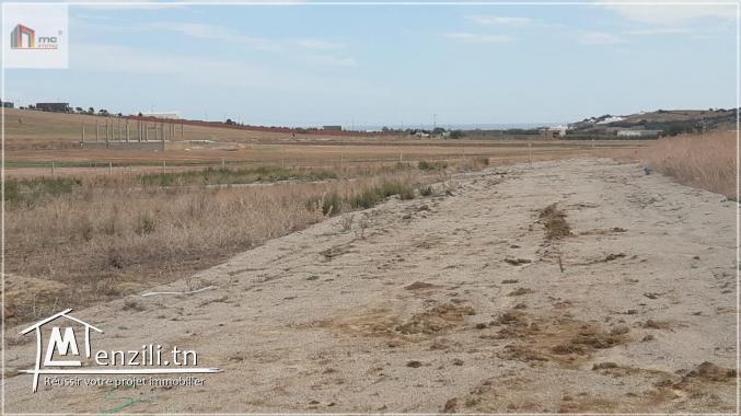 قطع أرض مقسمة قريبة  5 دق على  بحر حمام الغزاز 29.036.366