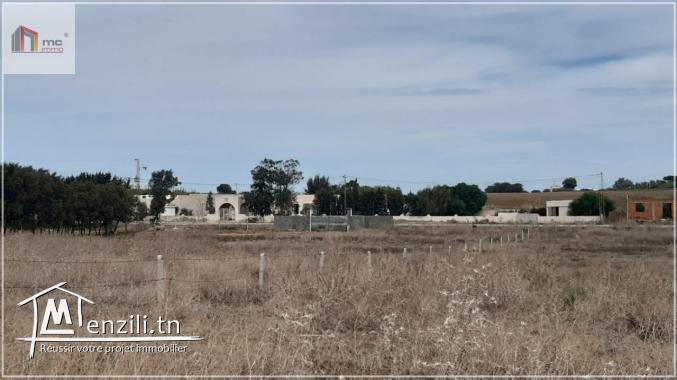 قطع أرض مقسمة قريبة  5 دق على  بحر حمام الغزاز 29.036.366