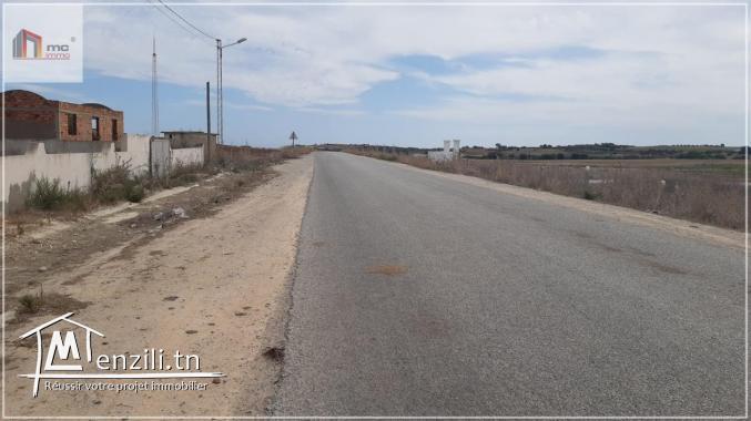 قطع أرض مقسمة قريبة  5 دق على  بحر حمام الغزاز 29.036.366