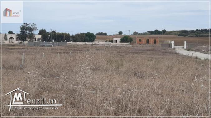 قطع أرض مقسمة قريبة  5 دق على  بحر حمام الغزاز 29.036.366