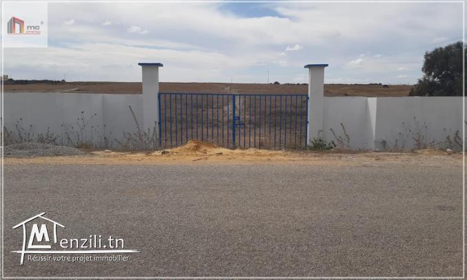 قطع أرض مقسمة قريبة  5 دق على  بحر حمام الغزاز 29.036.366