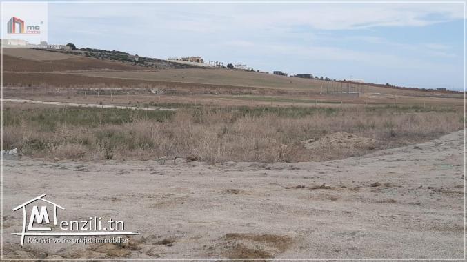 قطع أرض مقسمة قريبة  5 دق على  بحر حمام الغزاز 29.036.366