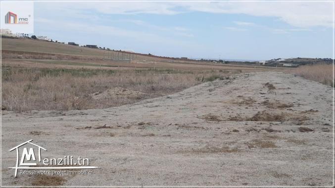 قطع أرض مقسمة قريبة  5 دق على  بحر حمام الغزاز 29.036.366