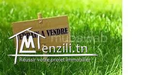 Terrain à vendre de 420 m2