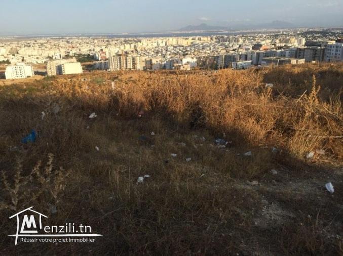 Terrain de 1000m2 a vendre a Ennasr 2