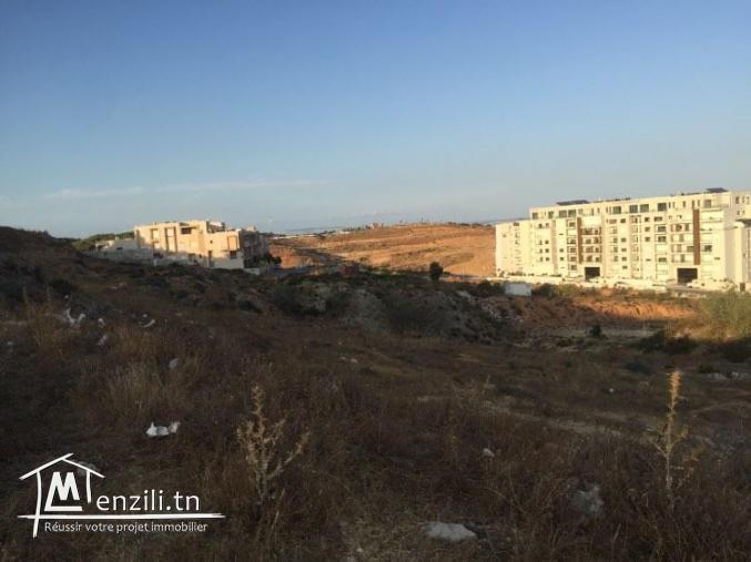 Terrain de 1000m2 a vendre a Ennasr 2