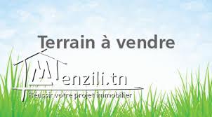 une magnifique ferme à #kalaa kibiraa