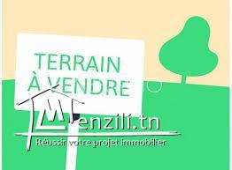 TERRAIN agricole SIDI BOU ALI CÔTE DAR ZITOUNA