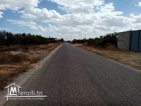 TERRAIN #agricole Hectare à kalaa kibira sur la route DAR ZITOUNA sur la route principale
