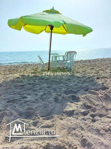 Terrain à kerkwen / kelibia