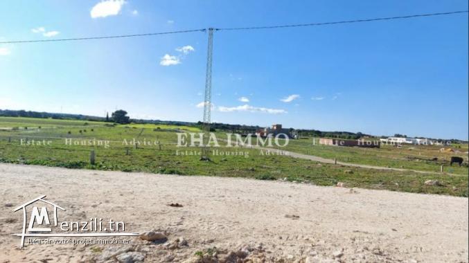 Terrain à kerkwen / kelibia