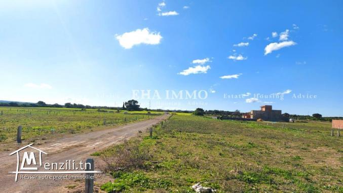 Terrain à kerkwen / kelibia