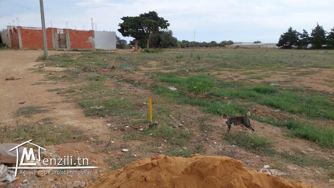 ارض للبيع بسوم معقول في بلاصه مزيانه 