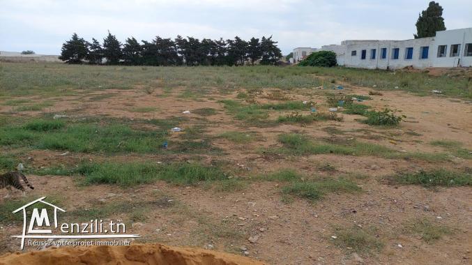 ارض للبيع بسوم معقول في بلاصه مزيانه 