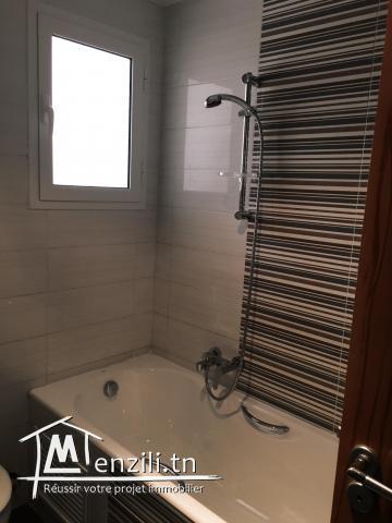 A louer S+1 spacieux