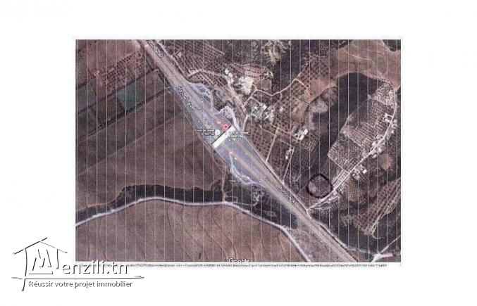 للبيع ارض بمرناق قرب  محطة الاستخلاص تمسح حوالي 3000 م م  