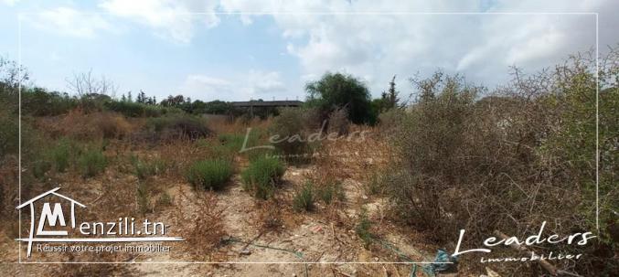 beau terrain a vendre