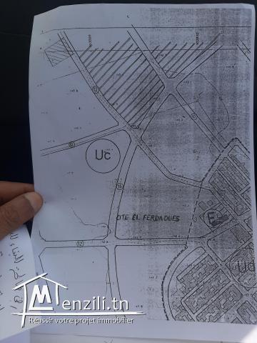 Terrain à vendre à jandouba