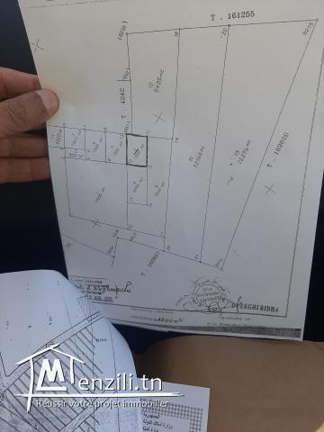 Terrain à vendre à jandouba