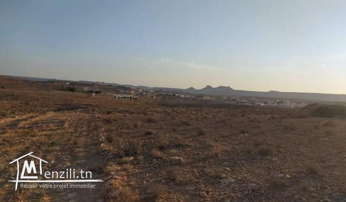 Terrain à Ghomrassen