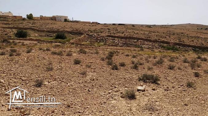 Terrain à Ghomrassen