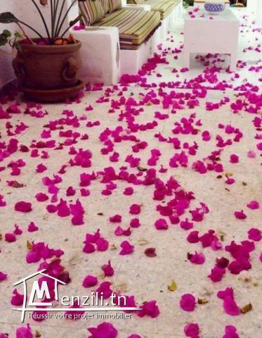 Villa avec piscine location annuelle