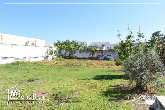 beau terrain a vendre