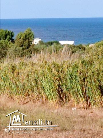 17000m² a vendre vu panoramique a la plage